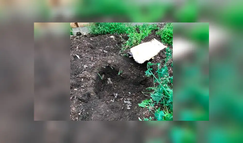 Mata a golpes a su perra y la entierra con un mensaje: “Te voy a extrañar mucho”