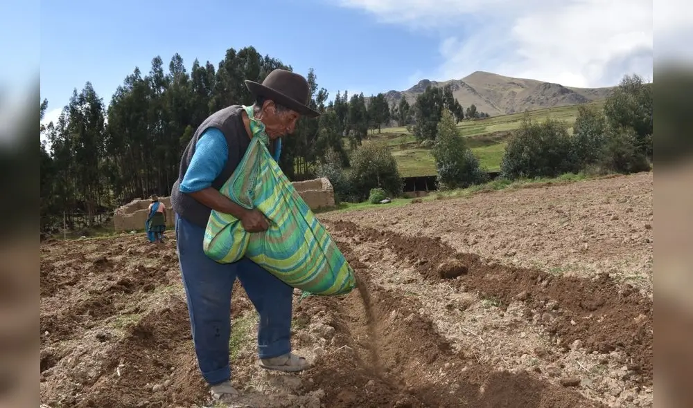 Se capacitarán a 20 pequeños productores de papa de la comunidad localizada en la provincia de Canchis en Cusco. Se capacitarán a 20 pequeños productores de papa de la comunidad localizada en la provincia de Canchis en Cusco.