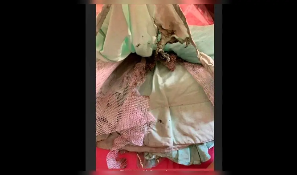 Shah Rukh Khan Shah Rukh Khan