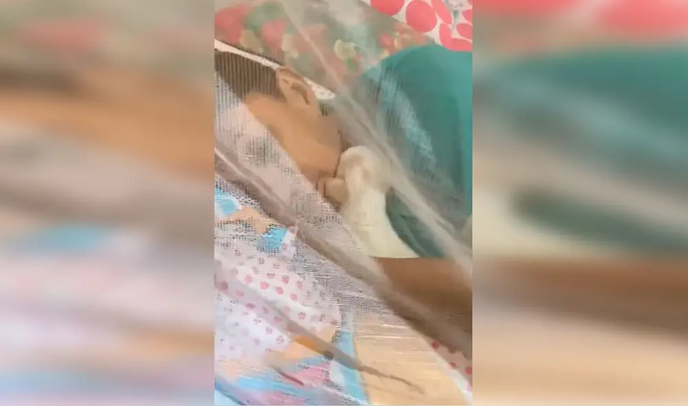 Desliza las imágenes para observar el cariñoso gesto de una anciana con la mascota de sus nietos. Foto: Captura de Facebook