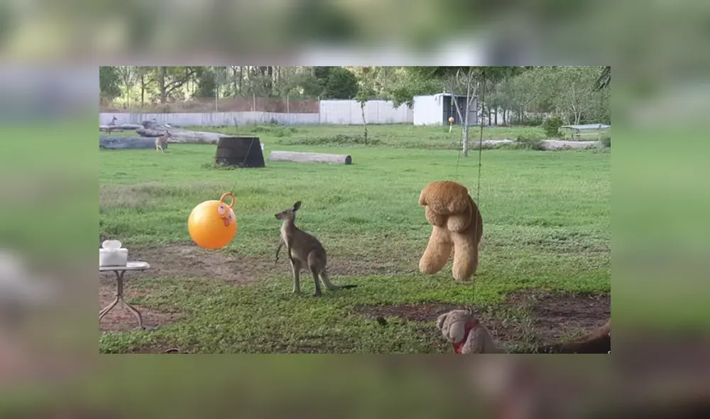 Desliza para ver los detalles del video viral publicado en YouTube. Foto: Captura.