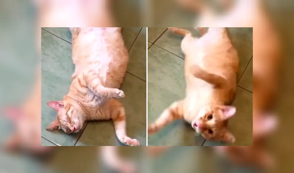 Desliza la imagen de Facebook para ver todas las fotos.