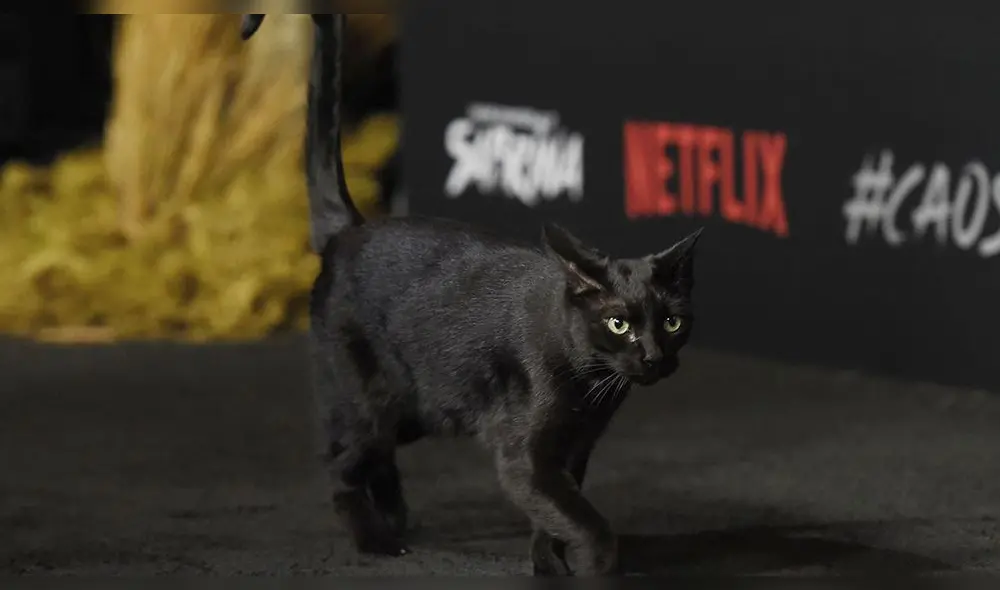 Netflix: Conoce a Salem de 'El Mundo Oculto de Sabrina' [FOTOS]