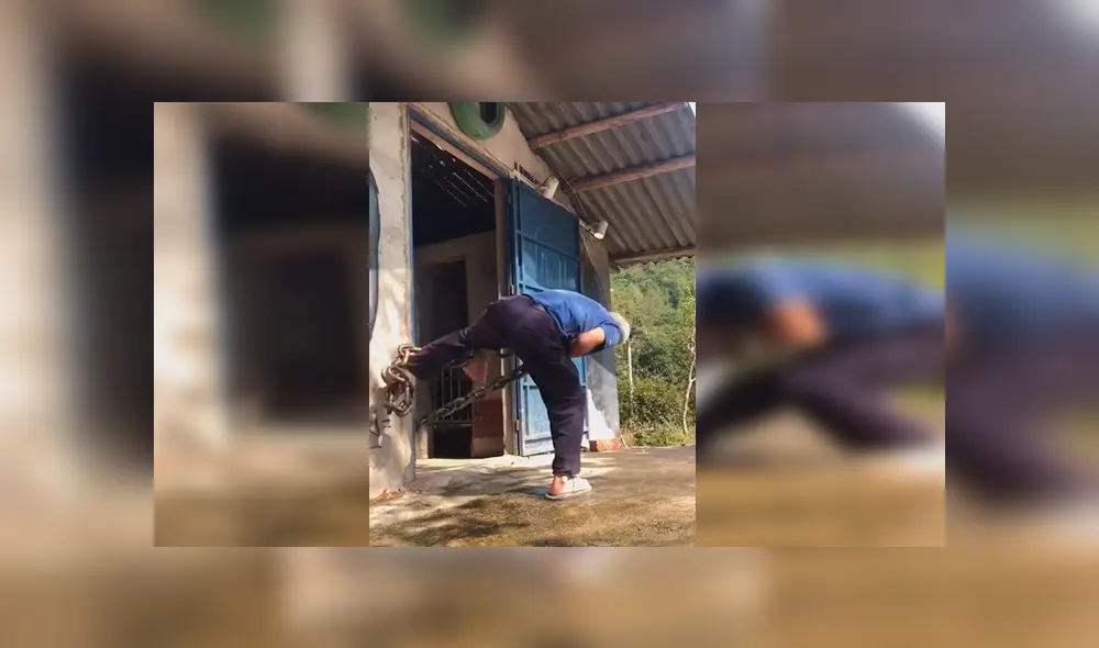 En YouTube, un hombre lidiaba con un enorme animal atado con unas cadenas y sorprendió a sus vecinos. En YouTube, un hombre lidiaba con un enorme animal atado con unas cadenas y sorprendió a sus vecinos.