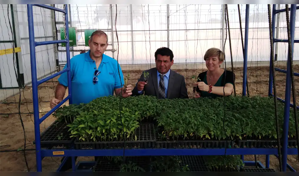 Piura: inauguran primer invernadero en Sechura para beneficio de estudiantes y campesinos