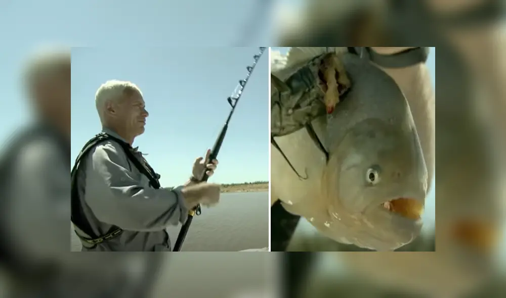 Desliza hacia la izquierda para ver las imágenes del viral de YouTube. Foto: Captura.