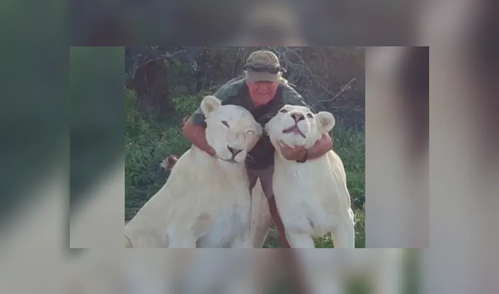 West Mathewson fue atacado por sus dos leonas blancas mientras daba un paseo. Foto: The Sun