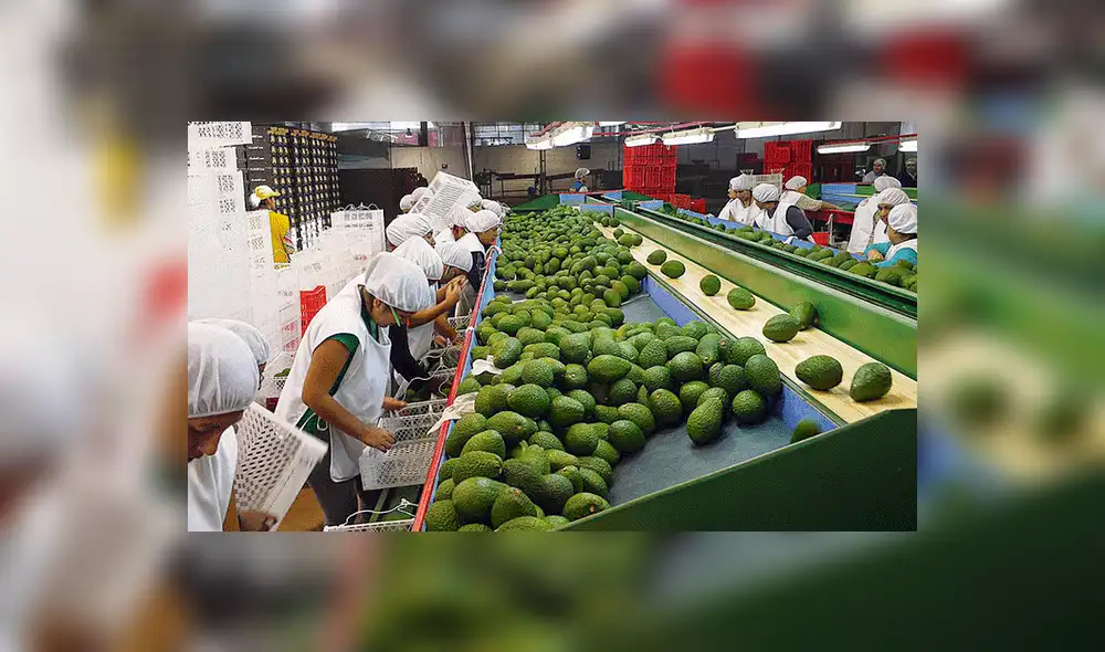 Conoce las regiones de Perú que alcanzarán valores récord de exportación este 2018