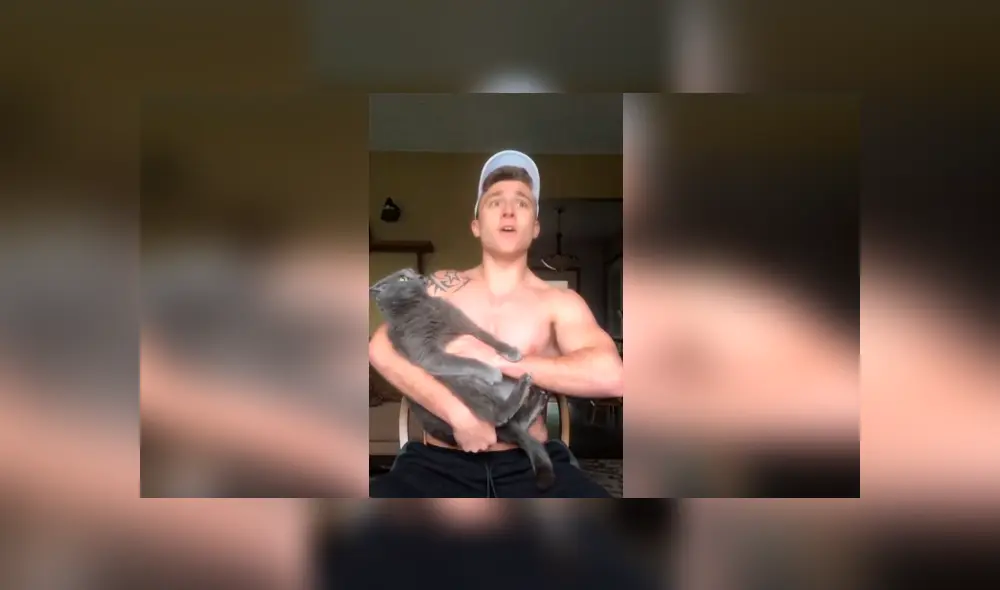 Desliza las imágenes hacia la izquierda para conocer la reacción de un travieso gato al escuchar el canto de su dueño.
