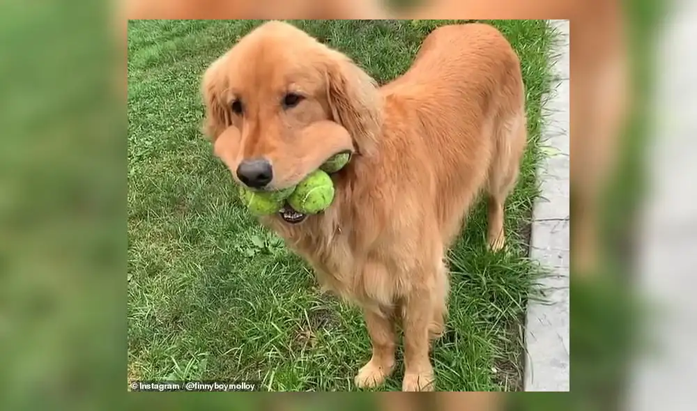 Finley batió el récord mundial que estaba vigente desde el 2003. (Foto: Mail Online)