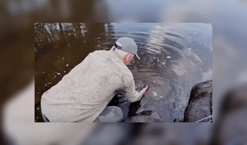 Desliza hacia la izquierda para ver al enrome pez que se hizo viral en YouTube. Desliza hacia la izquierda para ver al enrome pez que se hizo viral en YouTube.