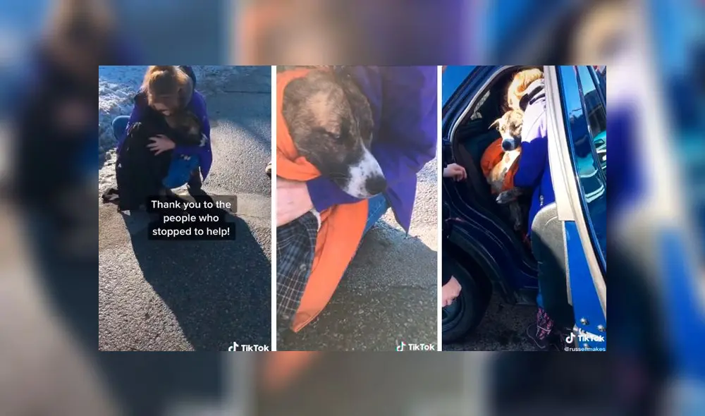 Desliza a la izquierda para ver la valerosa hazaña. Foto: Captura.