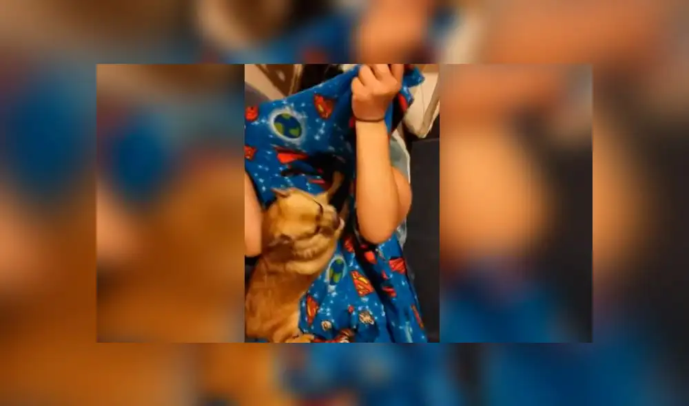 Desliza las imágenes para ver la dramática reacción que tuvo un cachorro al creer que su dueña había desaparecido. Foto: RM Videos