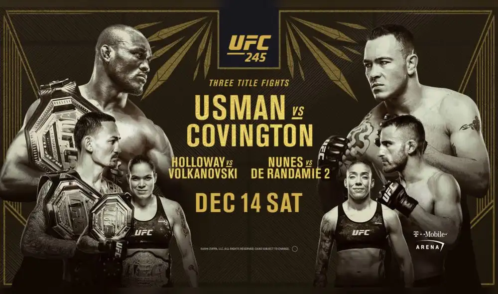 UFC 245 UFC 245