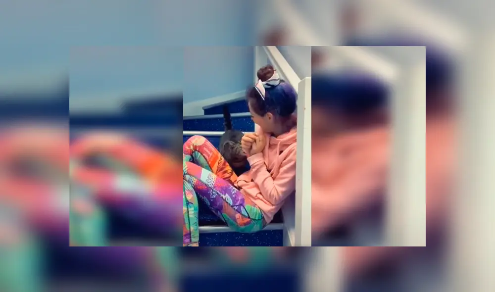 Desliza las imágenes para conocer el comportamiento de un gato para impedir que su dueña siga cantando.