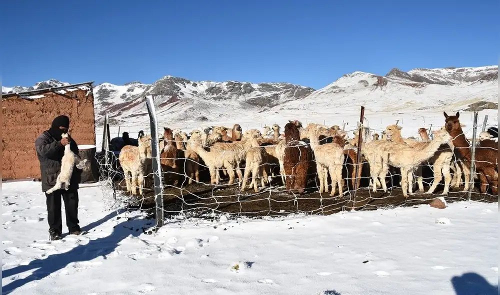 INDECI: Recomienda medidas de protección y prevención ante precipitaciones en la sierra INDECI: Recomienda medidas de protección y prevención ante precipitaciones en la sierra
