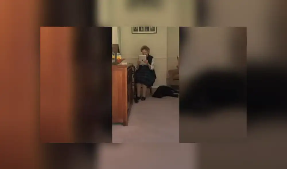 Desliza las imágenes para conocer la reacción de una anciana al recibir un regalo especial de su nieta. Desliza las imágenes para conocer la reacción de una anciana al recibir un regalo especial de su nieta.