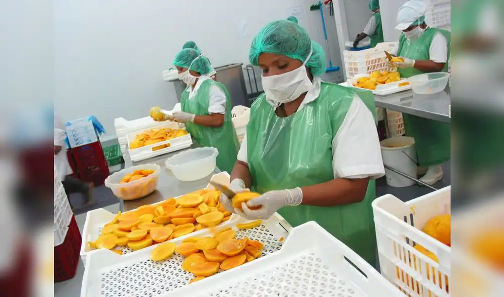 Adex: exportaciones generaron más de 700.000 empleos a febrero del 2022 Adex: exportaciones generaron más de 700.000 empleos a febrero del 2022