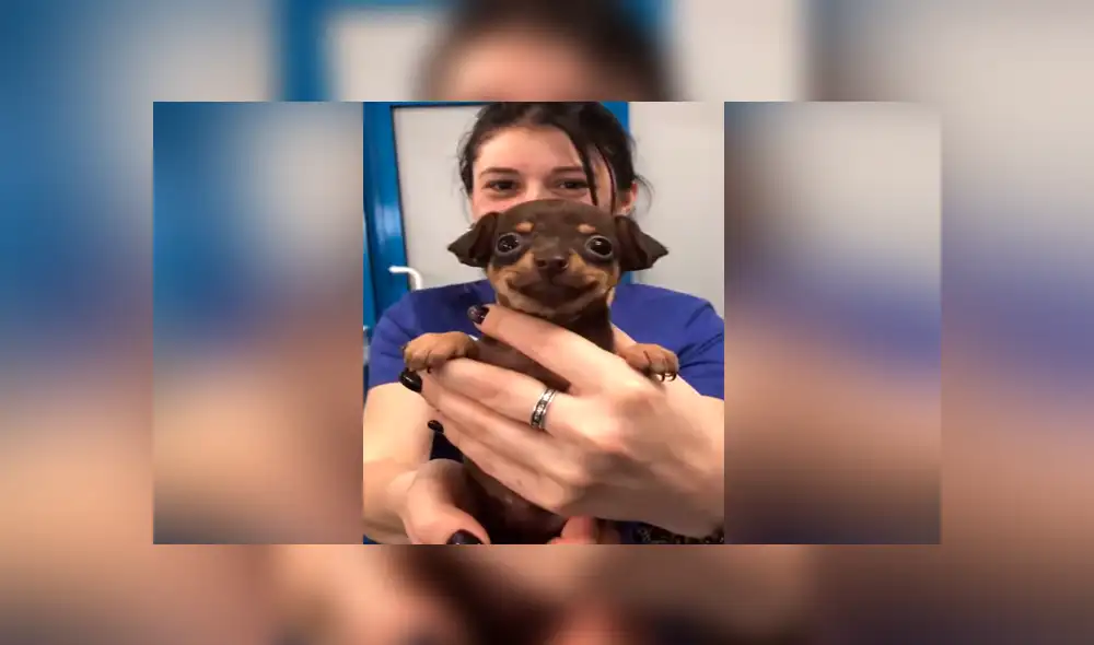 Desliza para ver los momentos más tiernos del video que se hizo viral en Facebook.