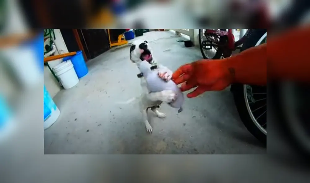 Desliza hacia la izquierda para ver más del video viral. Fotocaptura: YouTube Desliza hacia la izquierda para ver más del video viral. Fotocaptura: YouTube