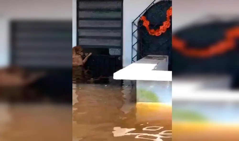 Desliza las imágenes para ver al tierno Máximo esperando volver a ver sus dueños que lo abandonaron. Foto: Facebook