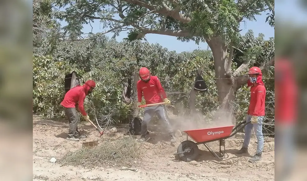 Realizan trabajos de mantenimiento en Tambogrande. (Foto: Municipalidad de Tambogrande) Realizan trabajos de mantenimiento en Tambogrande. (Foto: Municipalidad de Tambogrande)