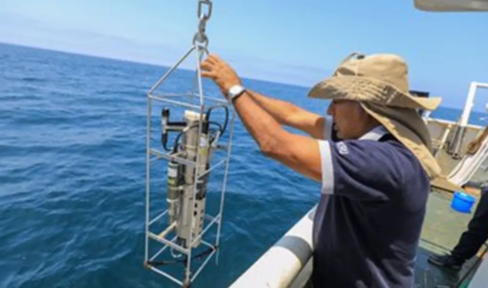 Científicos de IMARPE en labores en alamar en embarcación de la institución. Información reservada fue filtrada a empresas privadas. (LEYENDA) Científicos de IMARPE en labores en alamar en embarcación de la institución. Información reservada fue filtrada a empresas privadas. (LEYENDA)