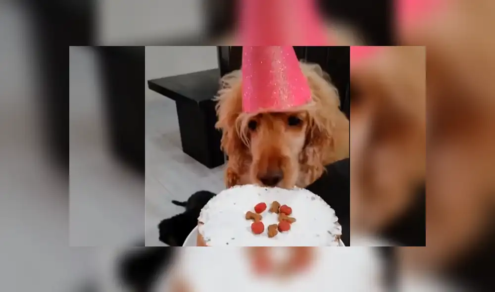 Desliza la imagen de TikTok para verlas todas.