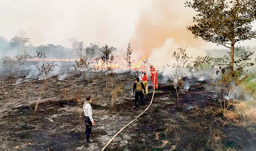 Voraz. El fuego se extendió con celeridad, pero fue aplacado por bomberos voluntarios.