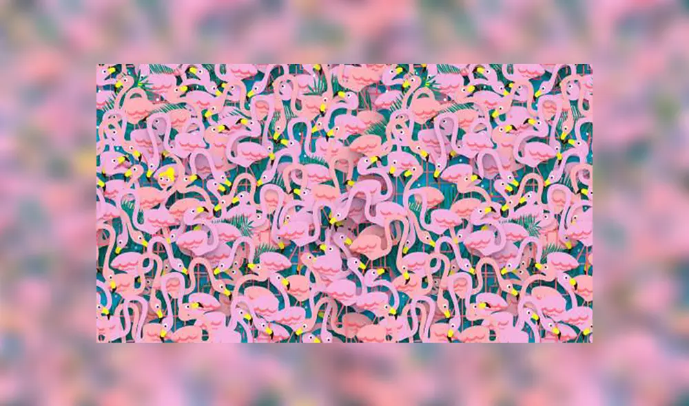 Desliza a la izquierda para conocer más sobre este nuevo reto visual de Facebook. Foto: Captura. Desliza a la izquierda para conocer más sobre este nuevo reto visual de Facebook. Foto: Captura.