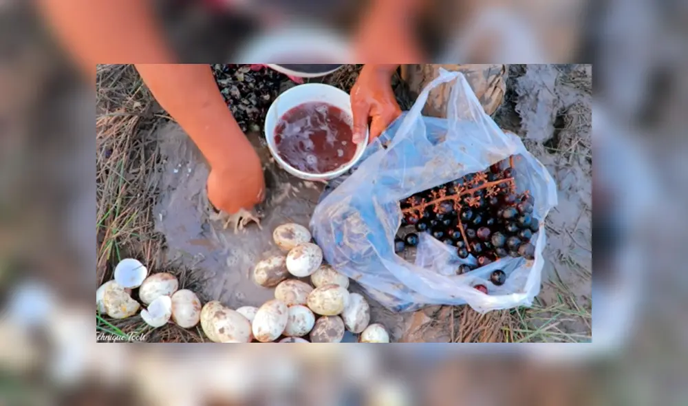 YouTube viral: arroja uvas y huevos en extraño agujero y en segundos aparecen extraños peces YouTube viral: arroja uvas y huevos en extraño agujero y en segundos aparecen extraños peces