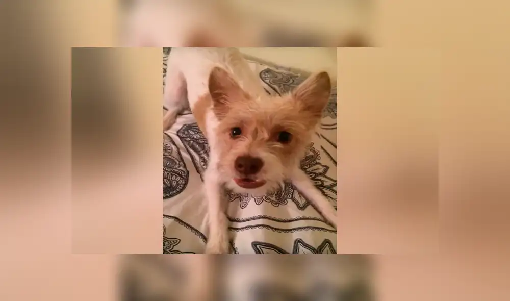 Desliza para ver los momentos más divertidos del video que se hizo viral en Facebook.