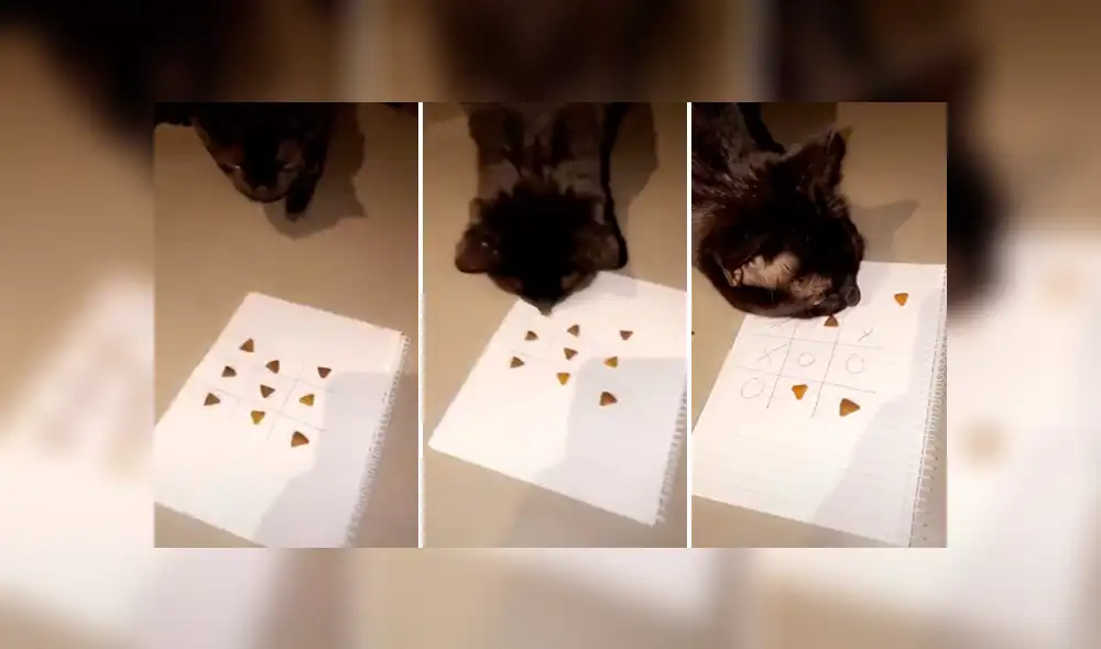 Desliza las imágenes para apreciar la reacción una joven al percatarse que su gato venció en una partida de ‘michi’. Desliza las imágenes para apreciar la reacción una joven al percatarse que su gato venció en una partida de ‘michi’.