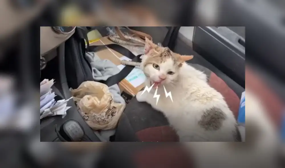 Desliza hacia la izquierda para ver más del video viral