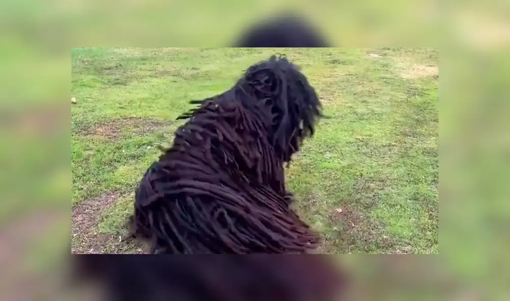 YouTube viral: Descubre extraño bulto en la calle, se asoma y queda en shock [VIDEO] 