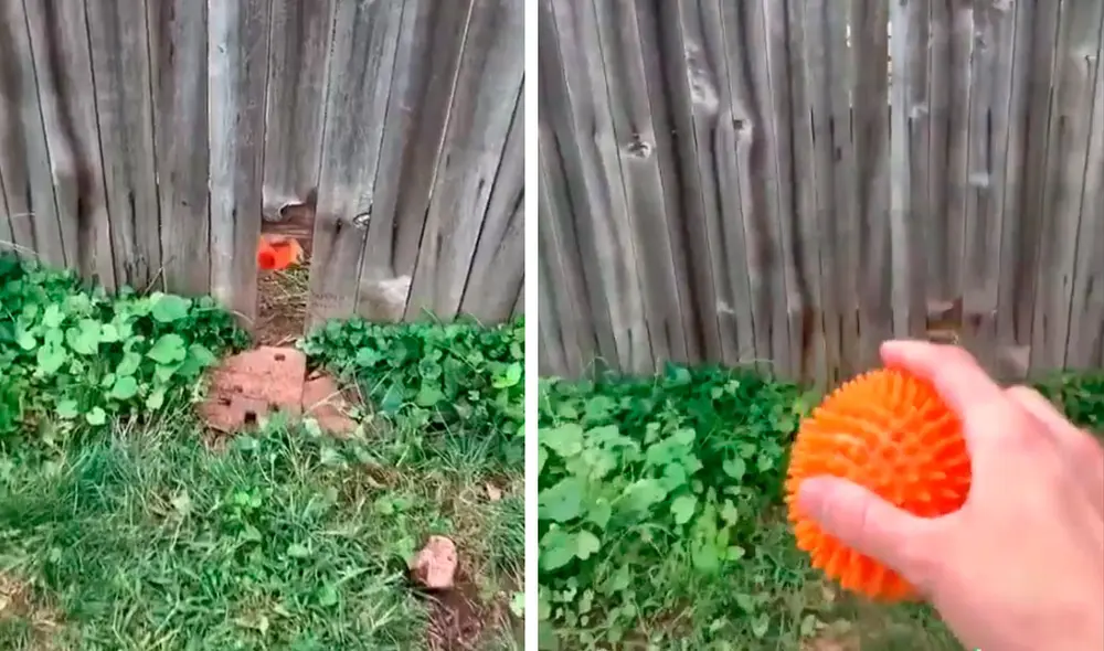 Desliza para ver la secuencia del viral. Foto: Captura/YouTube