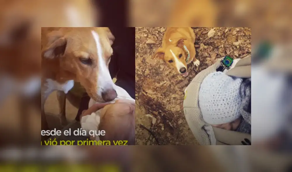 Desliza hacia la izquierda para ver más del video viral. Fotocaptura: YouTube Desliza hacia la izquierda para ver más del video viral. Fotocaptura: YouTube