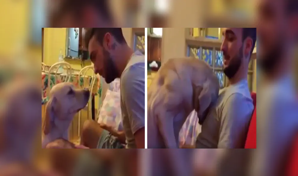 En Facebook, un perro se sintió terrible tras cometer una travesura en su casa y pidió perdón a su cuidador. En Facebook, un perro se sintió terrible tras cometer una travesura en su casa y pidió perdón a su cuidador.