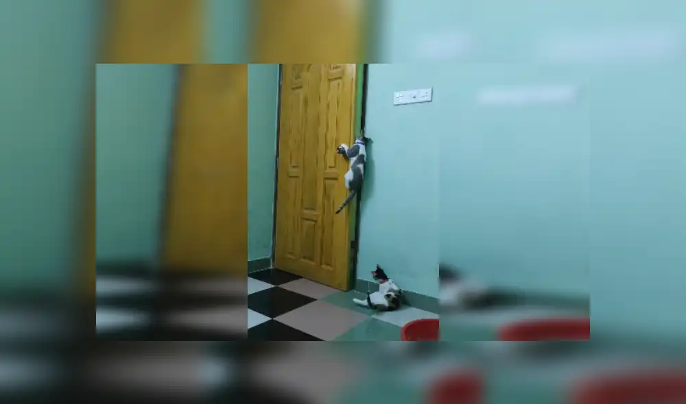 Desliza las imágenes para ver más detalles sobre esta escena que es viral en youTube. (Foto: captura)