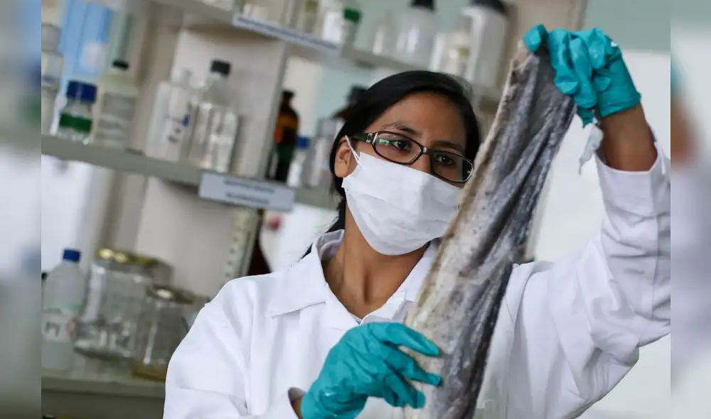 El plástico que viene del mar