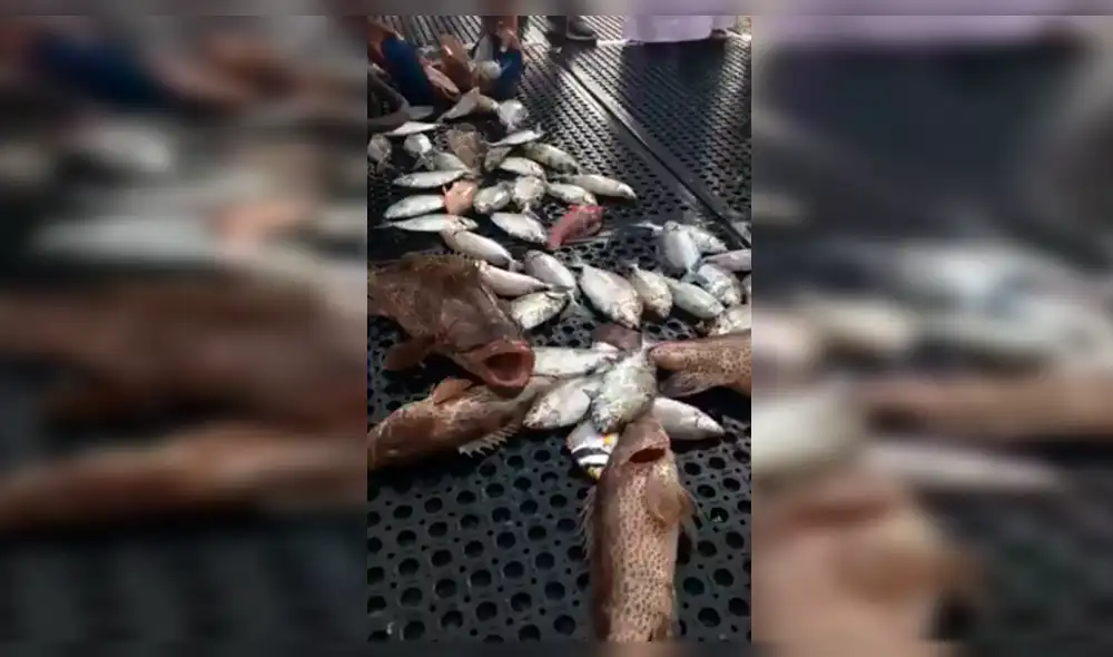 YouTube Viral: Captura pez extraño, cuando abre su boca se lleva tremendo susto [VIDEO]