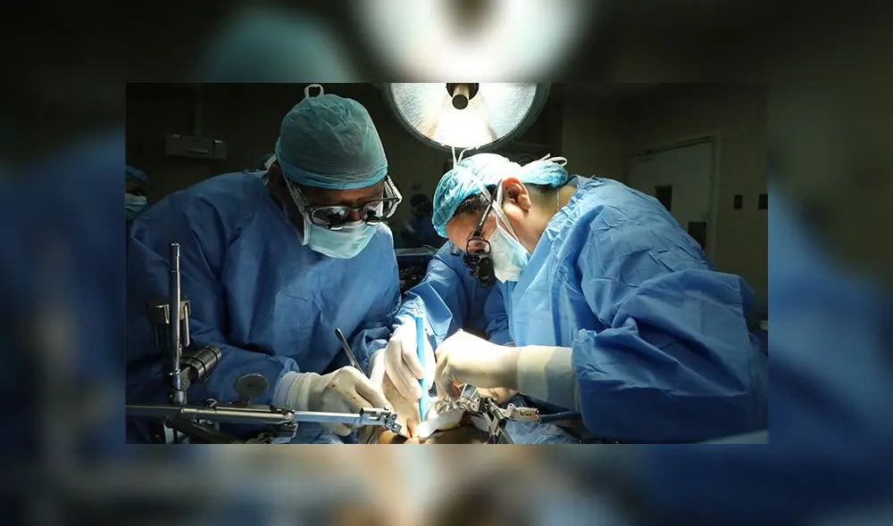 Trasplante. (Foto: difusión)