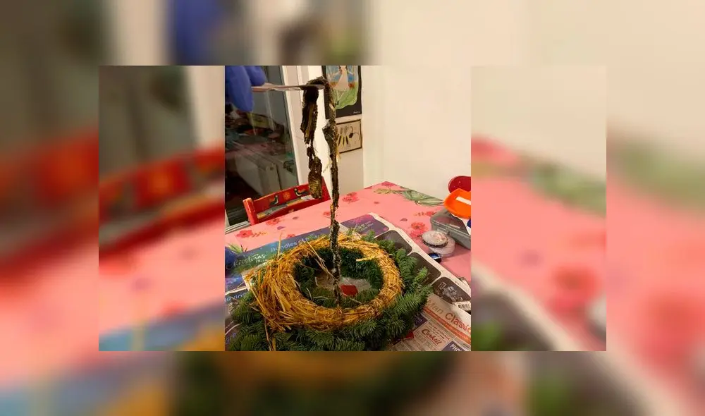 Compra una corona de Navidad y encuentra una serpiente muerta dentro de esta [FOTOS]