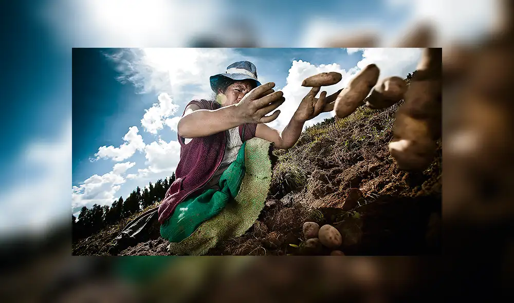 Pleno Agrario no logra debatir toda la agenda planteada