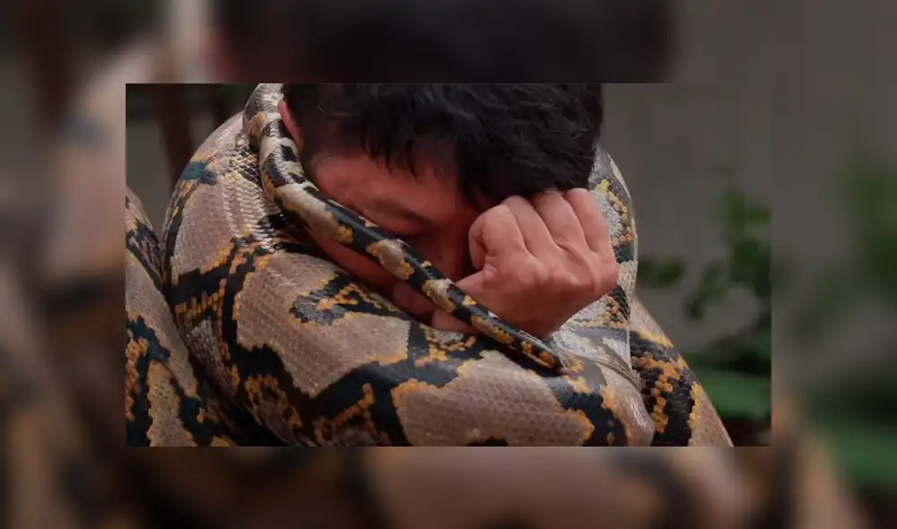 YouTube viral: Bombero es atacado por enorme pitón mientras hacía su show en vivo [VIDEO] 