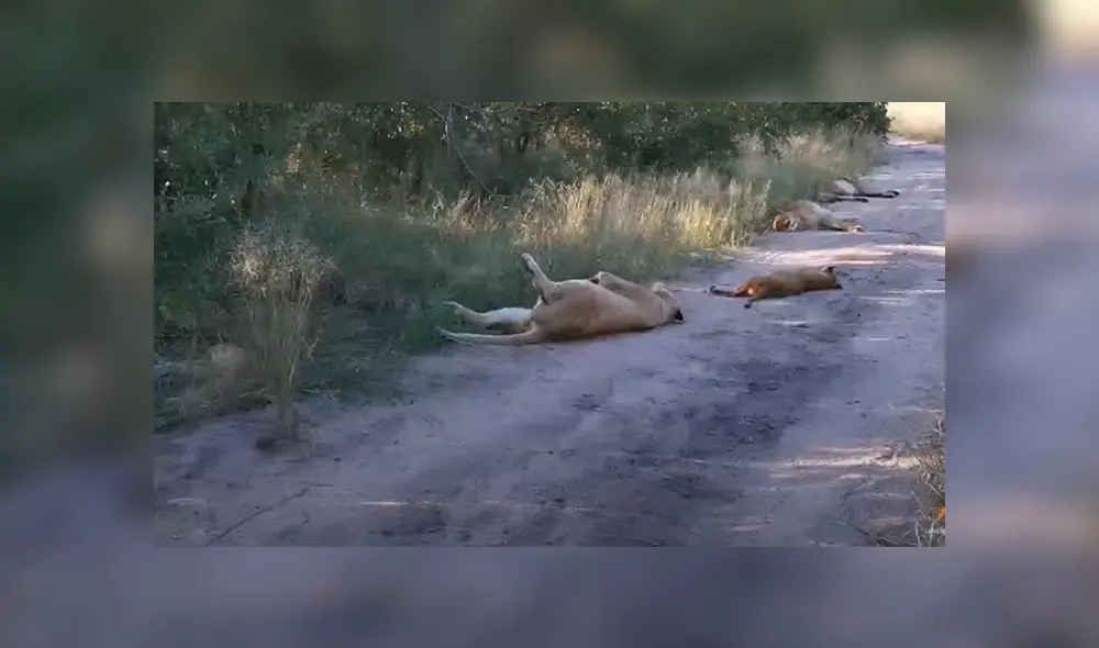 Desliza hacia la izquierda para ver las imágenes del viral de Facebook. Foto: Captura Desliza hacia la izquierda para ver las imágenes del viral de Facebook. Foto: Captura