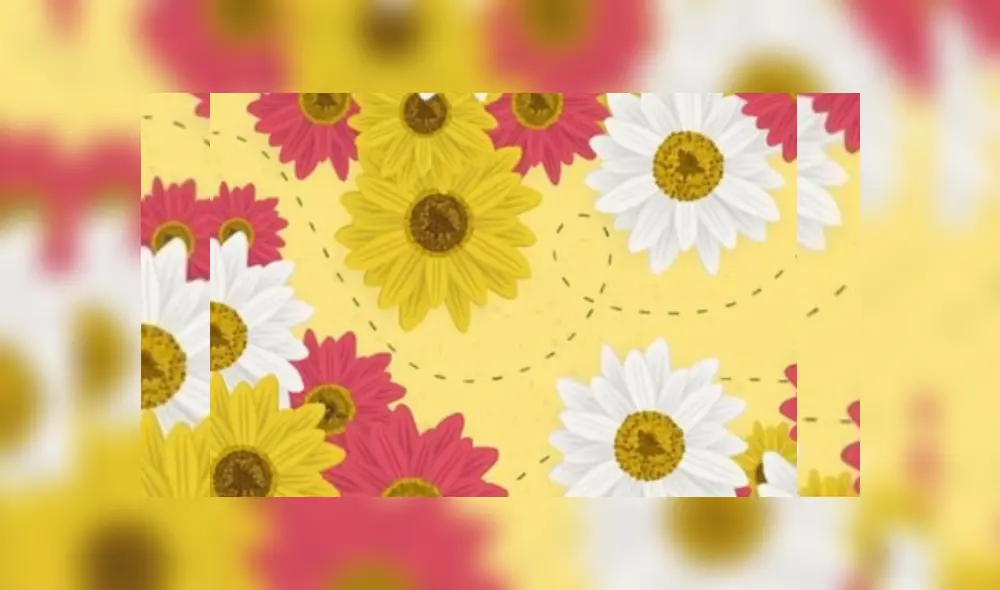 Desliza hacia la izquierda para ver dónde está la abeja