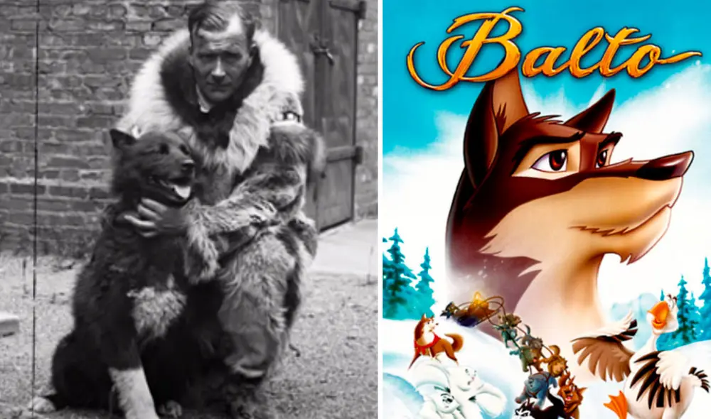 Balto fue reconocido por los pobladores de Nome pero fue Togo quien realizó la mayor parte del trabajo. Foto: Captura/YouTube/Experto Animal