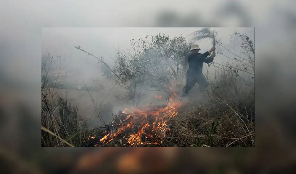Serfor capacita a agricultores de Arequipa para controlar incendios forestales