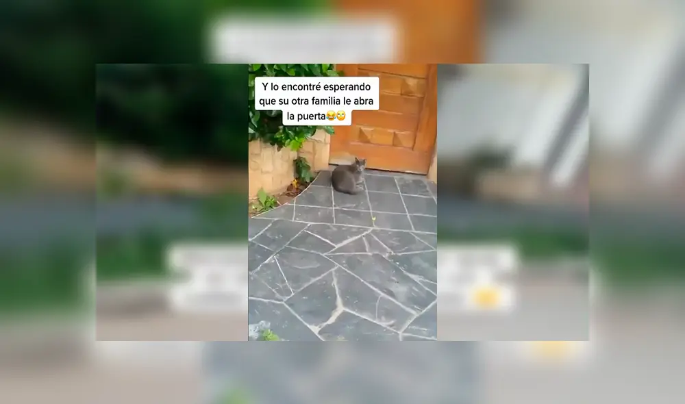 Desliza las imágenes hacia la izquierda para conocer la historia de un travieso gato que tenía una ‘doble vida’. Fotocaptura: Facebook.